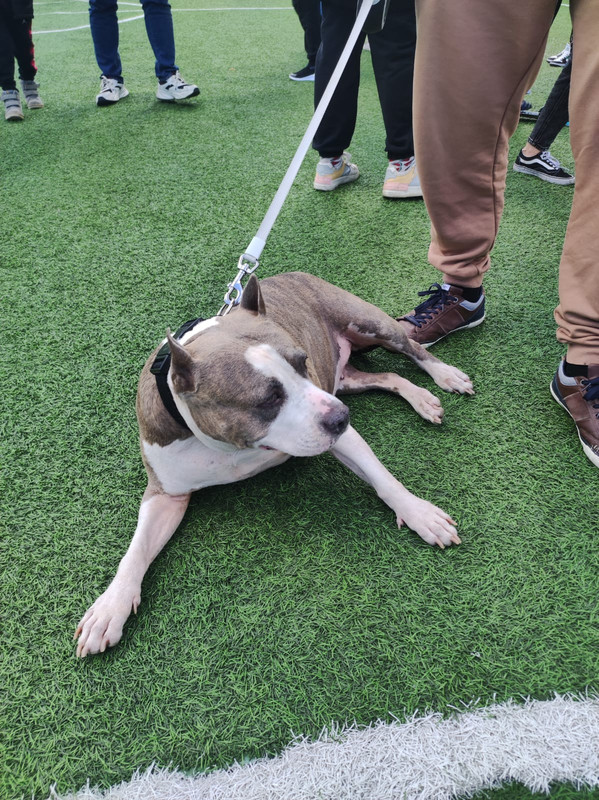 9ECE11A1-540B-4049-9F53-7E3FE6B05C3E