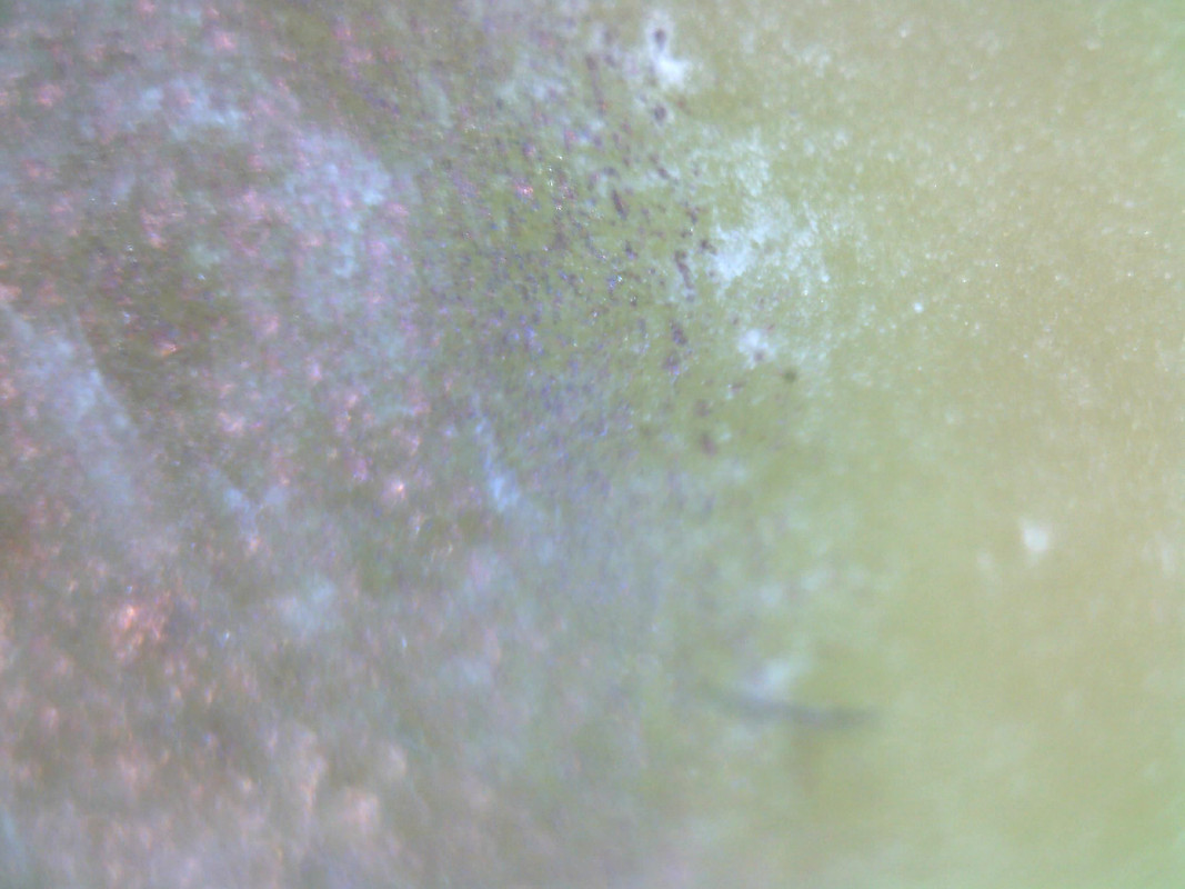 Изображение 006