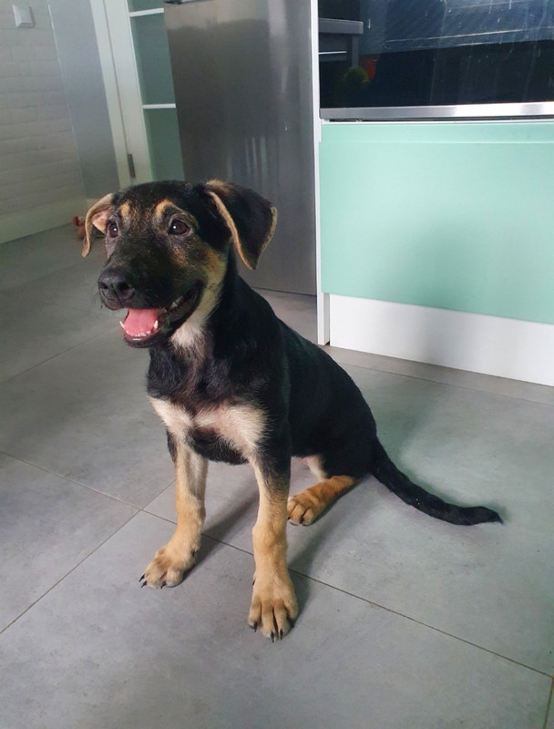 0C97FF77-77DA-4191-9412-B5E9C1C9F4C1