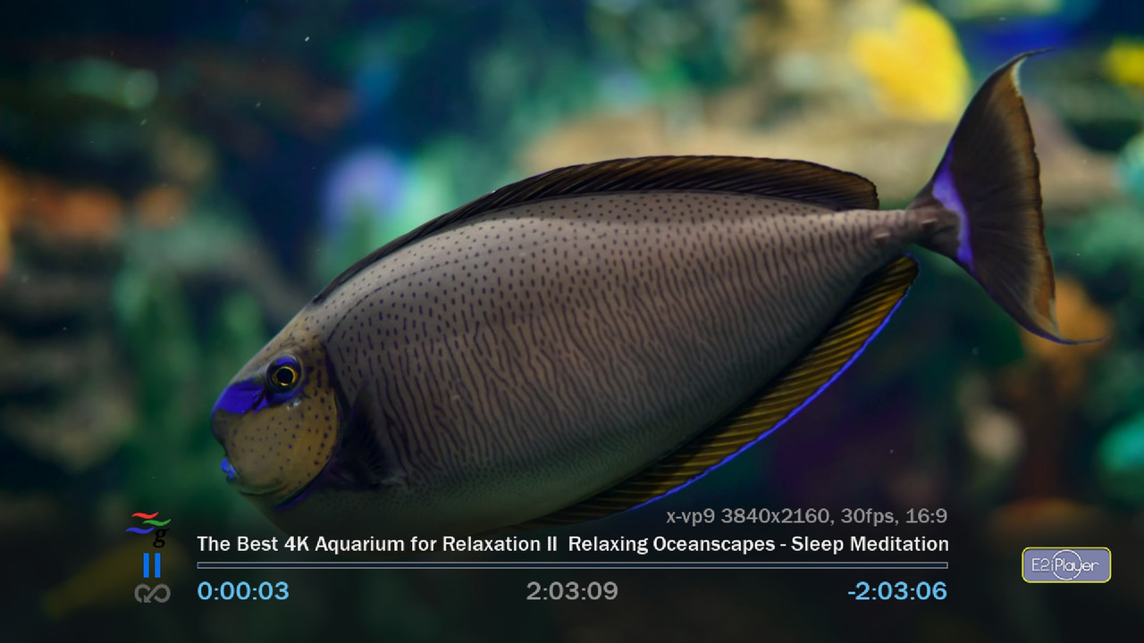 screenshot_20200402230118