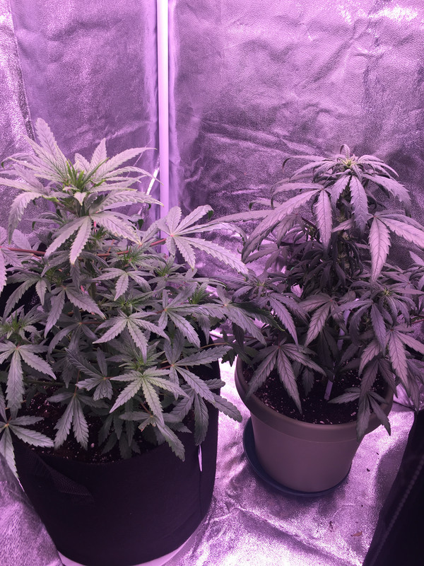 63157668-4A5D-4602-9AAD-1FB54B104B7F