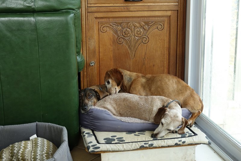 [Image: DSC00600.jpg]