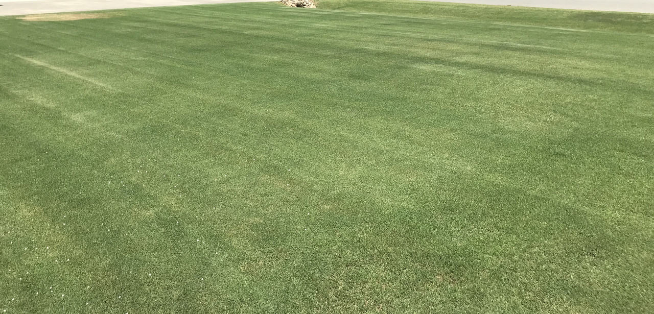 5D80A572-7954-443A-980E-6B64786BB53C