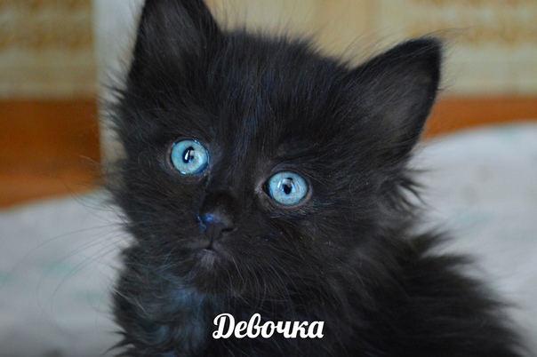 844A79A7-6459-44FC-BB4C-C6EC00280051