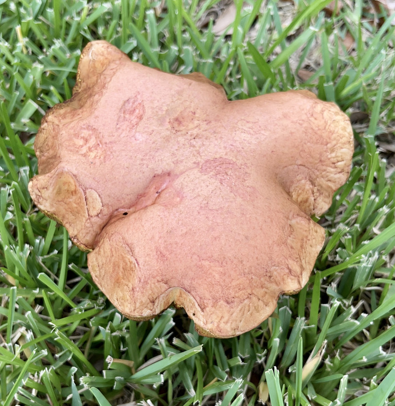 B0EFF9B2-8CDC-4AFB-8FB8-CC9CA9A5FB3F