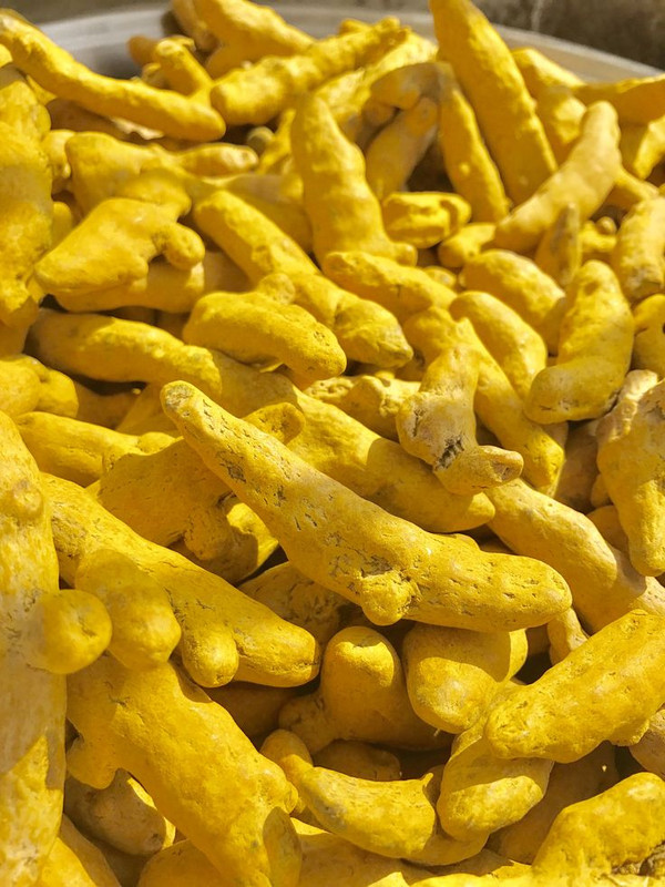Turmeric