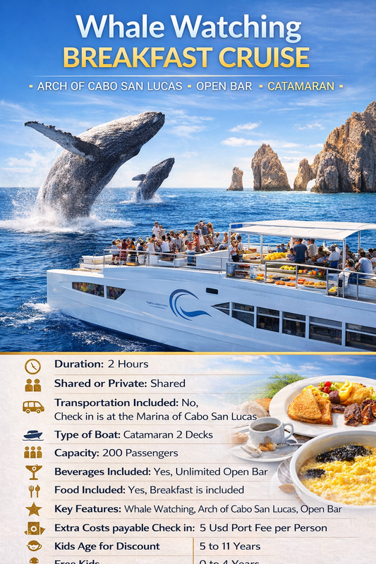 Whale Watching Early Morning Cruise in Cabo San Lucas with Open Bar