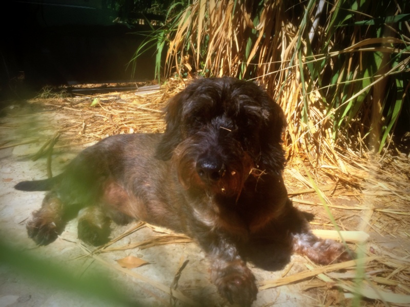 [Image: IMG-2296.jpg]