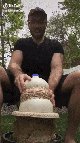 daily-gifdump-3386-23.gif