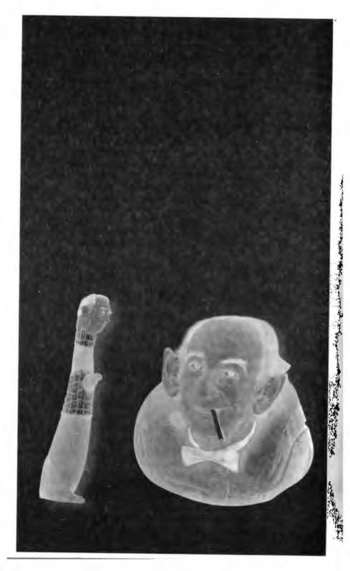 p0029