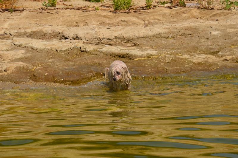 EXTREMADURA Y SUS PUEBLOS -2010-2023 - Blogs of Spain - EMBALSE DE VALDECAÑAS-2019/2023 (17)