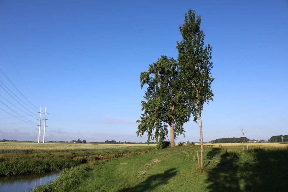 IMG-1000