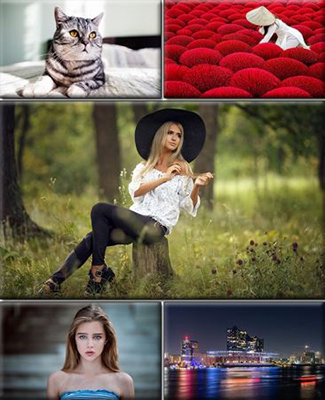 LIFEstyle News MiXture Images Wallpapers Part (1913)