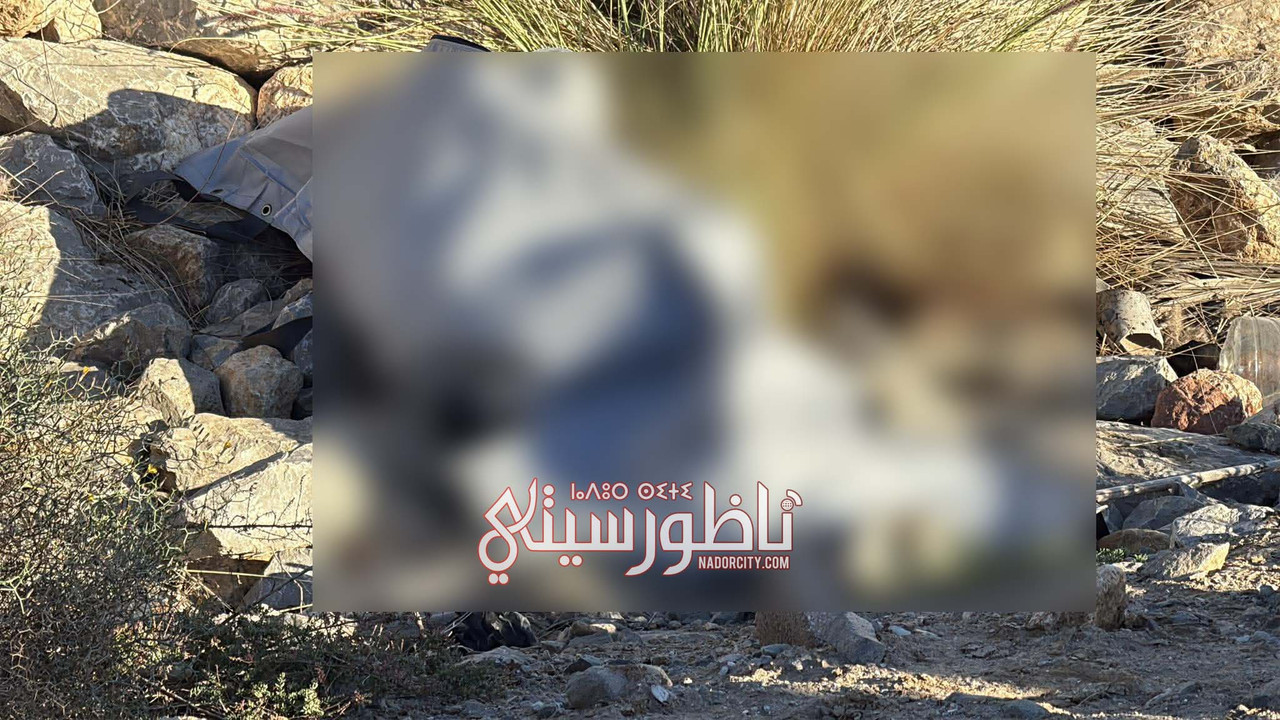 591864866-1173075651039045-2763729202811464766-n