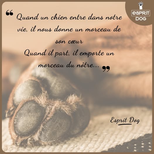 480719352 1010713554441379 7543612065032583405 n