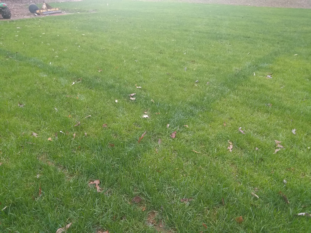 IMG_20201111_162645579