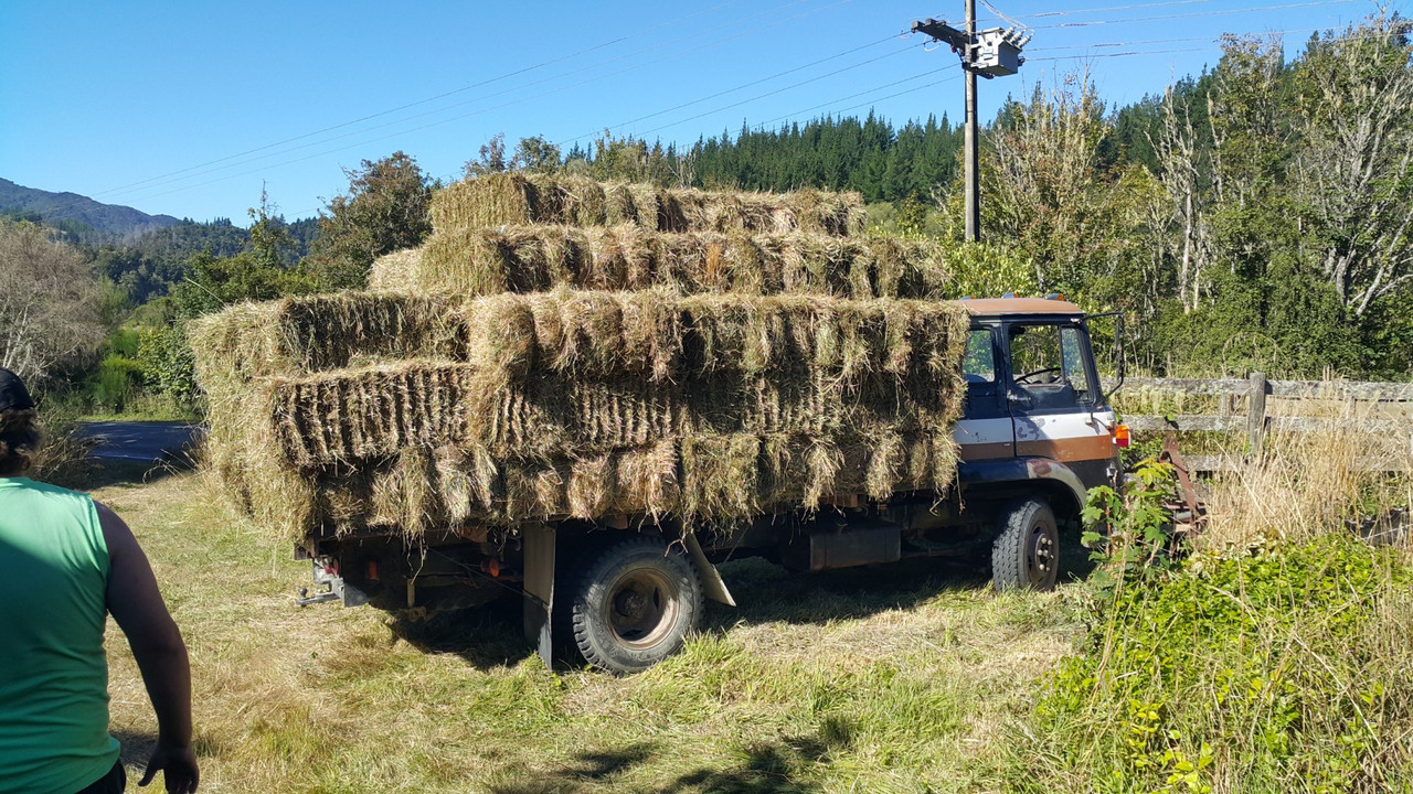 20210201_171658 (Large)