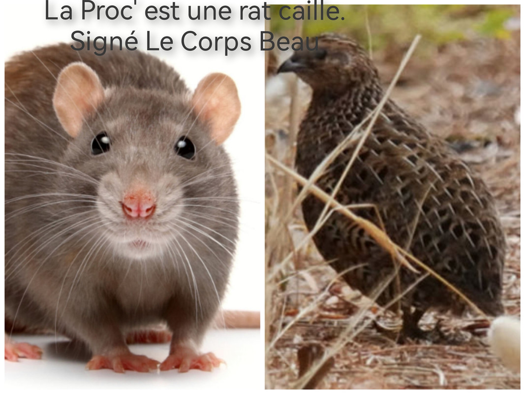 Ouverture du procès de Redrose, compte