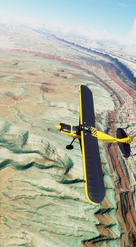 c176.jpg