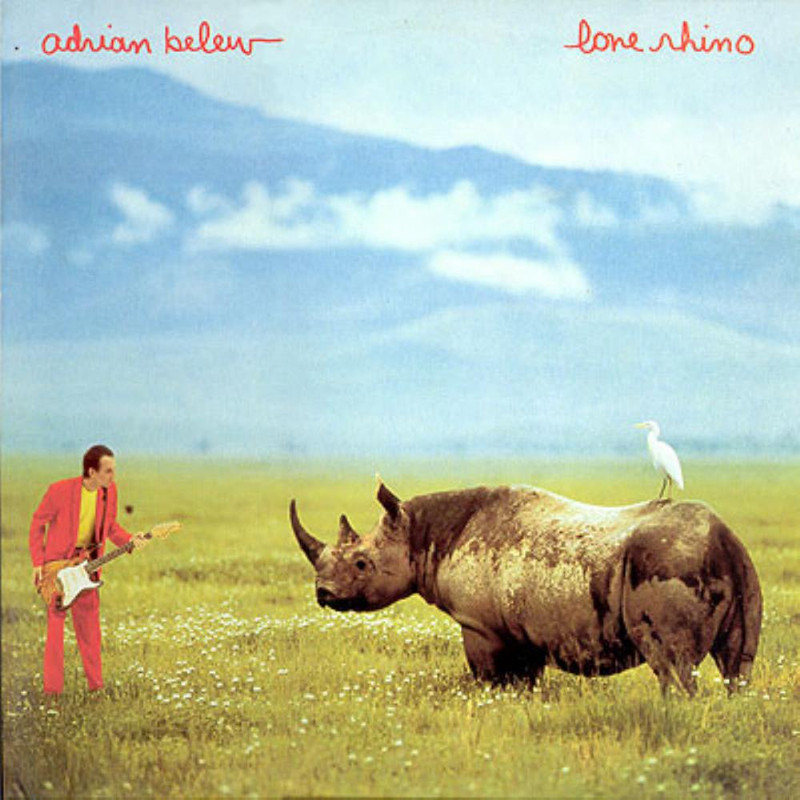 lonerhino.jpg