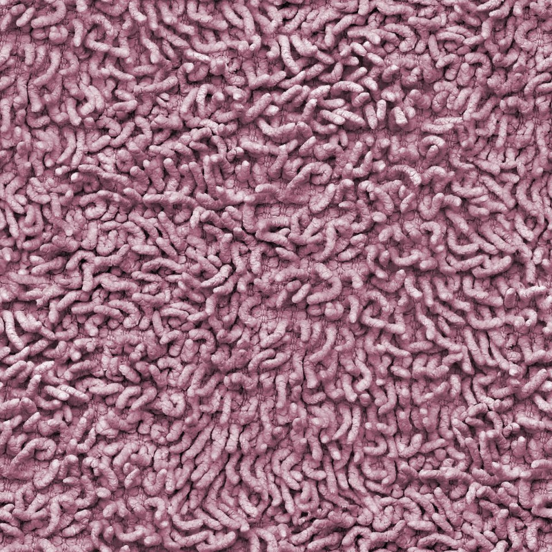 552625_394805107245780_898179384_n
