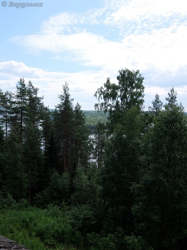 DSCF8879