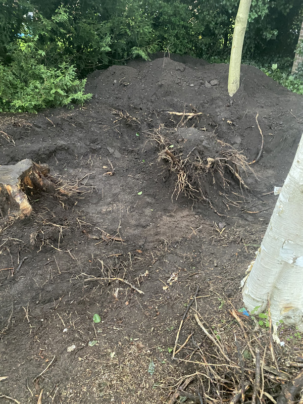 403955D6-1B6A-478F-985D-23E93F450EBB