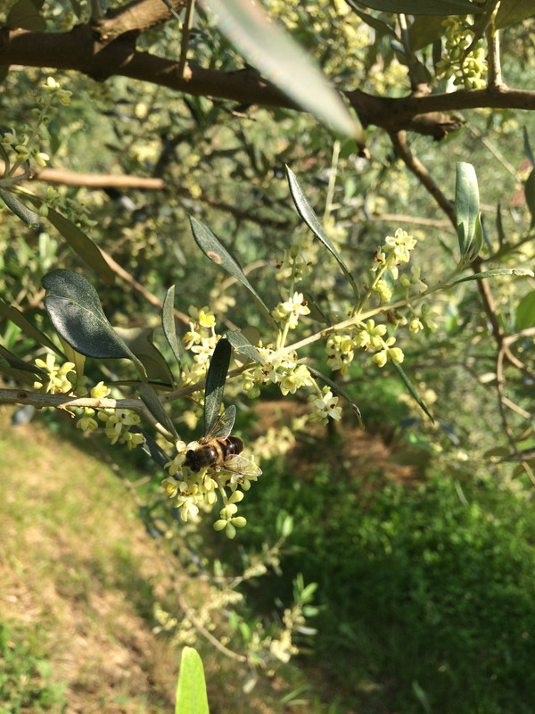 FF2C3B6B-431D-4D89-88F9-1DFA7F915F6A