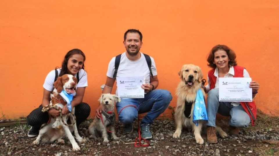 ¡Llegó la nueva Frida! Perritos rescatistas se gradúan de su adiestramiento en Tlalpan