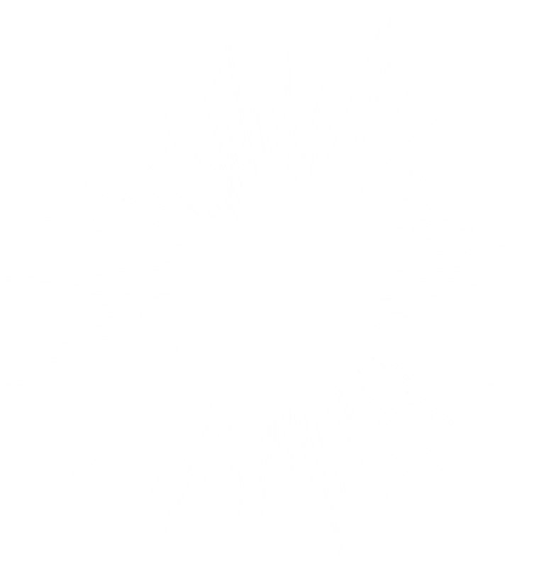 1 (100)