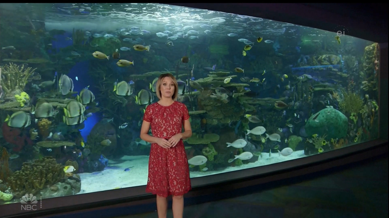 11.07 - 15.00.00 - Earth Odyssey With Dylan Dreyer. The world's smart....ts_snapshot_01.05.15.637