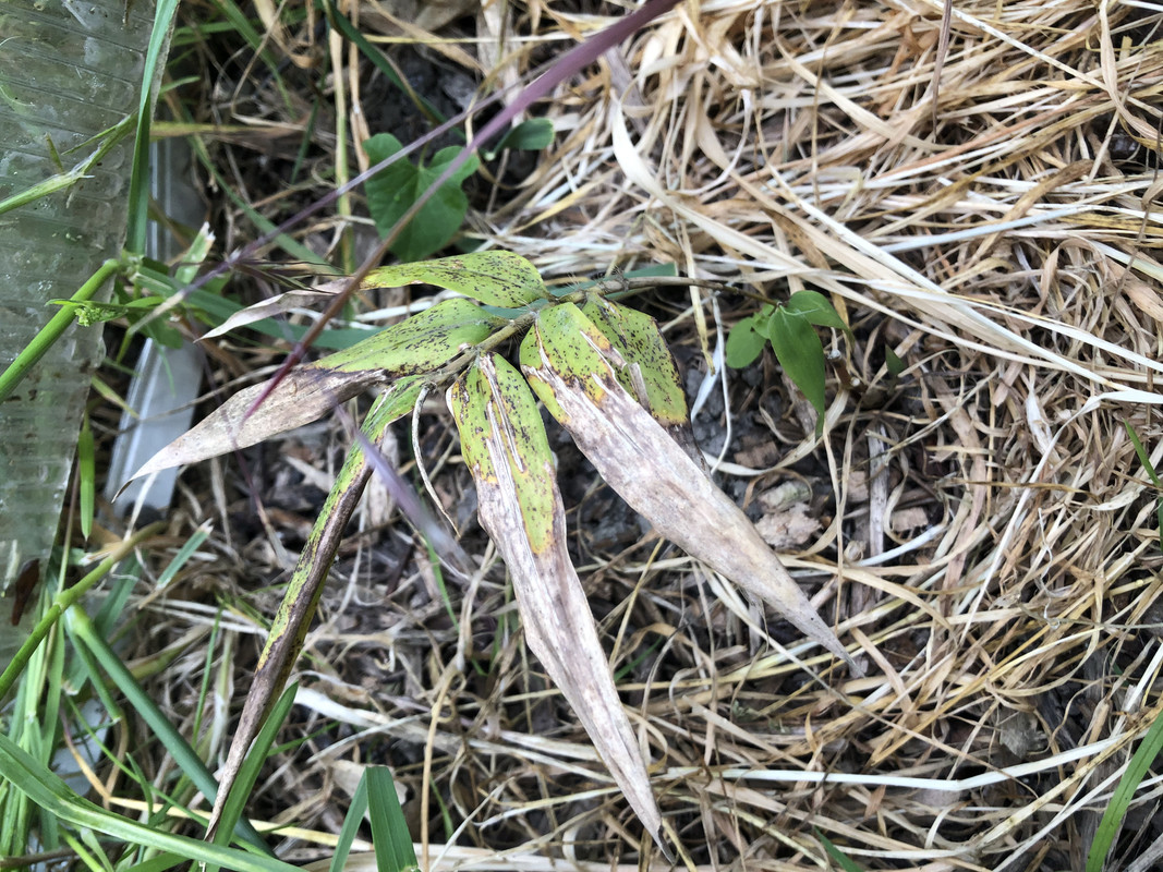 DF03FEAC-93B0-480F-8C4F-3C01670816F0