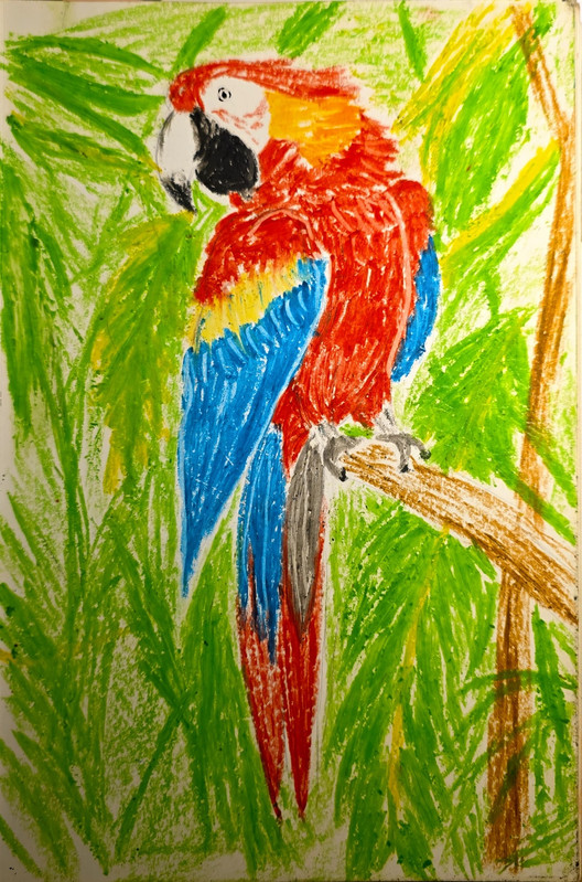 Dibujo 1