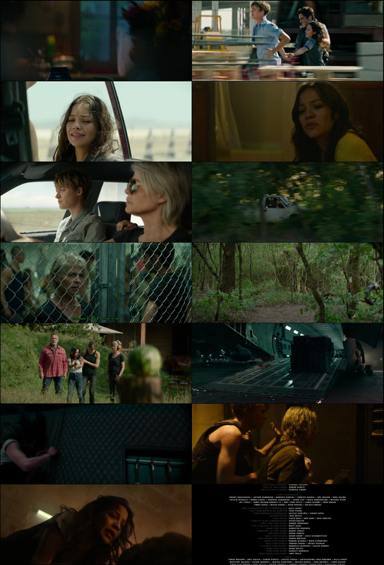 Terminator: Dark Fate (2019) 1080p | 720p | 480p BluRay [Hindi (हिन्दी) + English] DD5.1 ESub