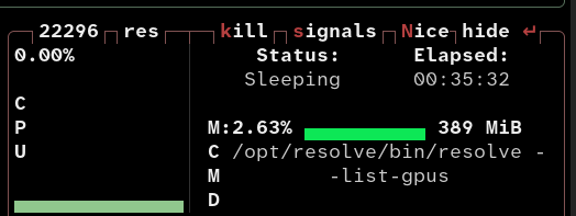 btop app status screenshot