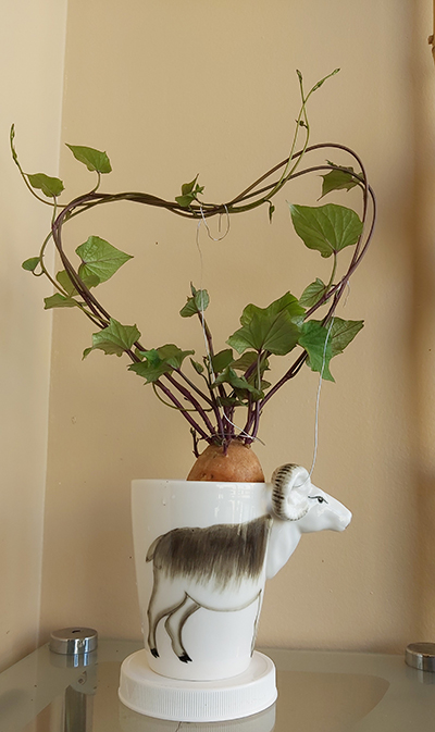 [Image: 20200814-163557.jpg]