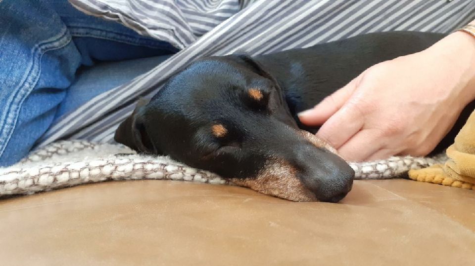 [Image: Resized-20220417-181211-1.jpg]