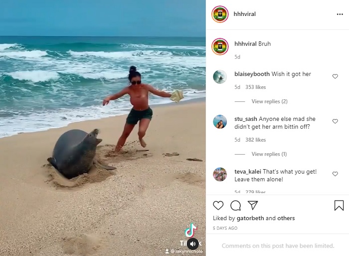 Wanita bule berlari ketakutan setelah anjing laut yang disentuhnya marah.