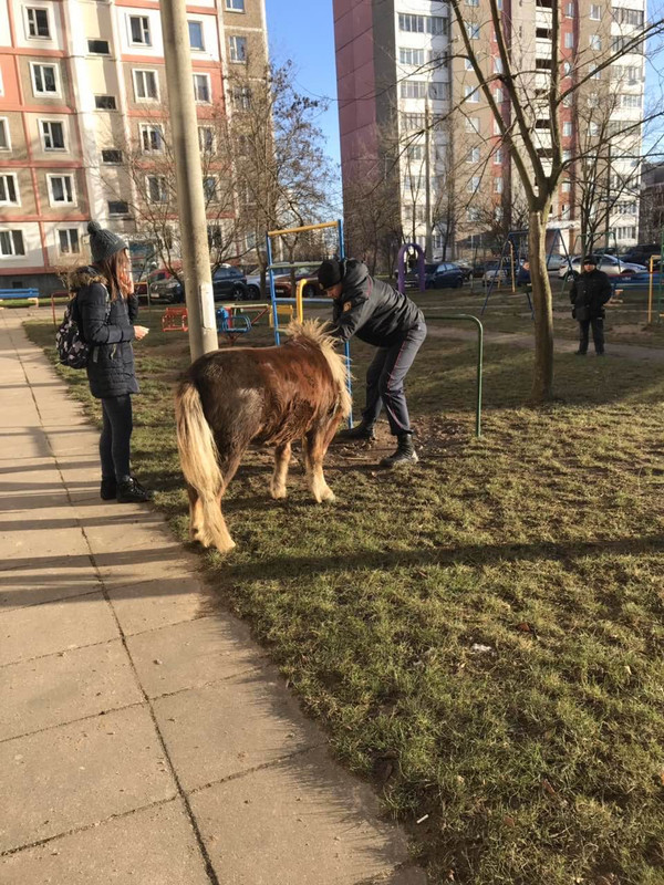 4BDD5D35-E301-4CA6-B1D1-B4F1F4BB8BB7