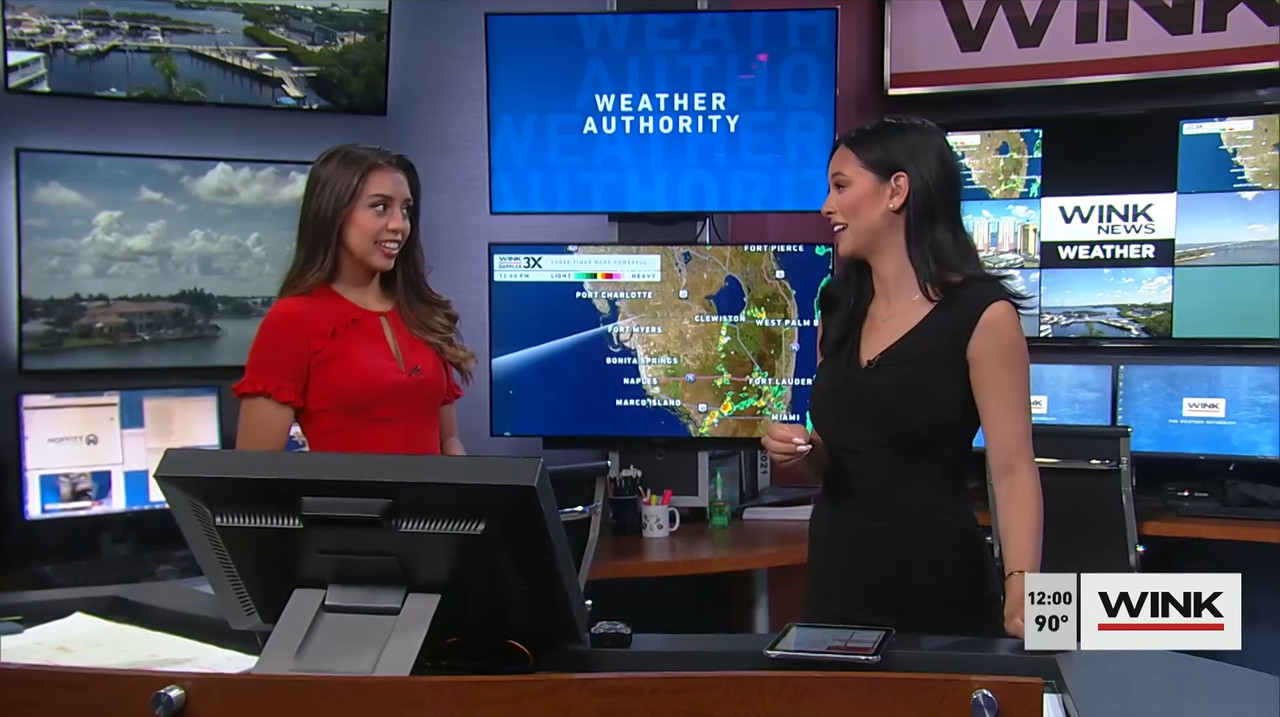 07.15 - 17.00.00 - The Wink Noon News  ᴺᵉʷ. Midday News Update.-1.m4v_snapshot_10.23.034