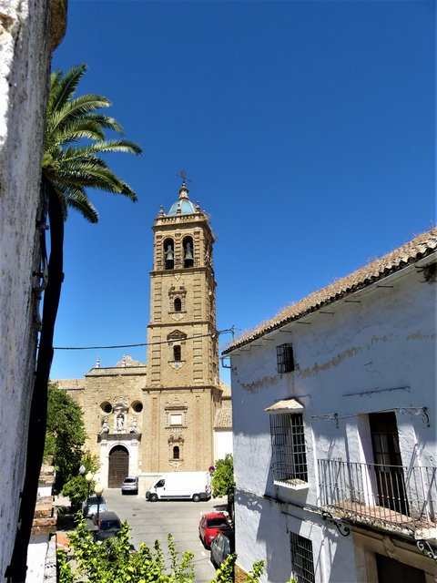 Córdoba y sus pueblos-2017/2020 - Blogs of Spain - MONTILLA-3-7-2020 (44)