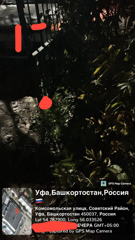 IMG_20250928_202824_898