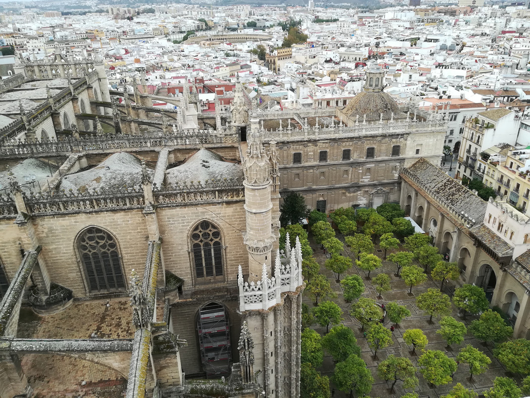 Día tres: El alcázar de Sevilla y la Catedral. - Sevilla, bajo la lluvia de otoño (36)