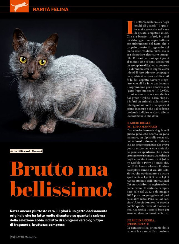 Ga Ma Feb-Mar 2024 (11)