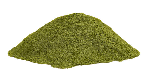 Moringa