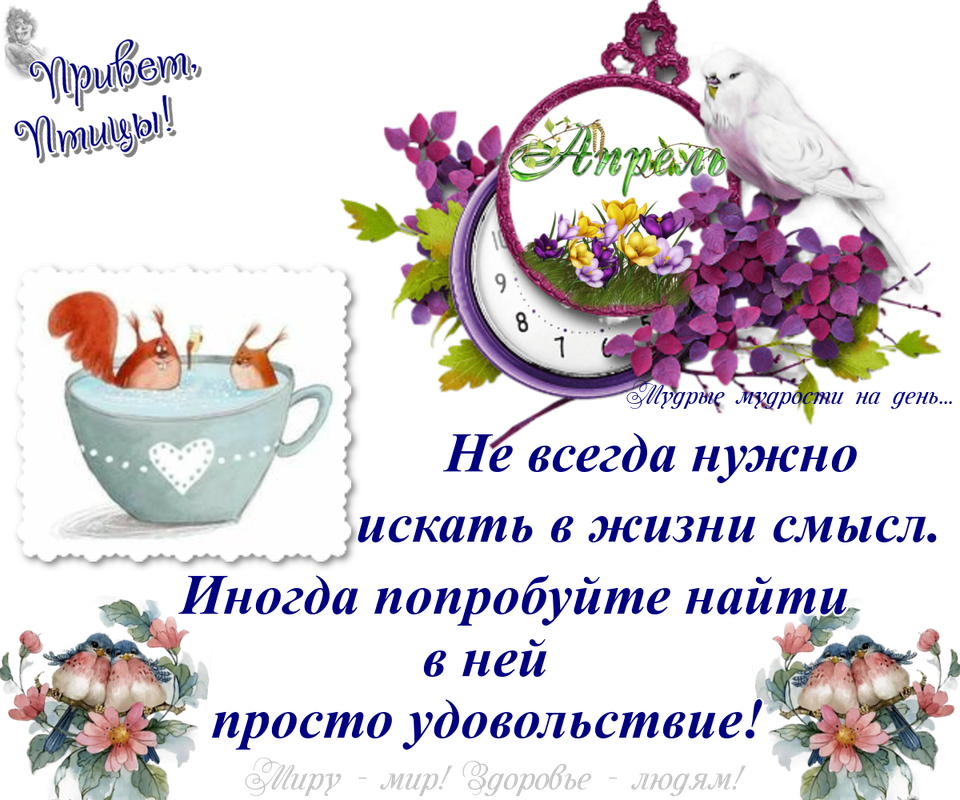 https://i.postimg.cc/HnHtCDH1/13-04.png