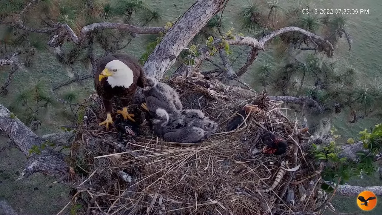 EC 4K Overhead Cam 4-39-21 screenshot