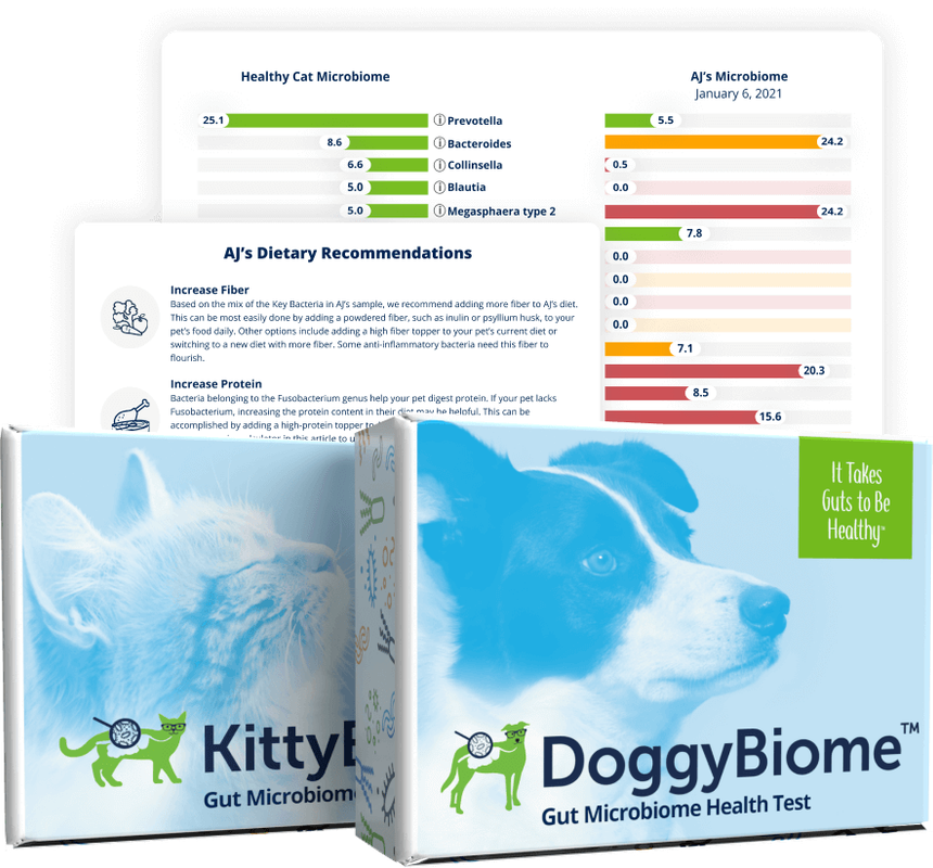 AnimalBiome Reviews – Discover the power of the microbiome to heal your pet AnimalBiome Reviews – Discover the power of the microbiome to heal your pet