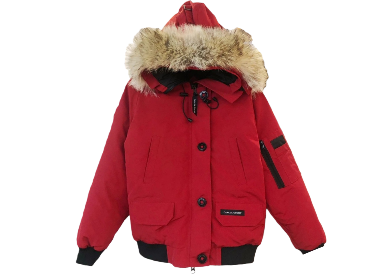 Canada Goose Down Jacket