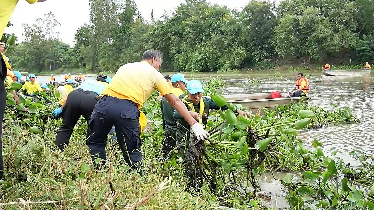 vlcsnap-2025-07-23-21h40m38s861